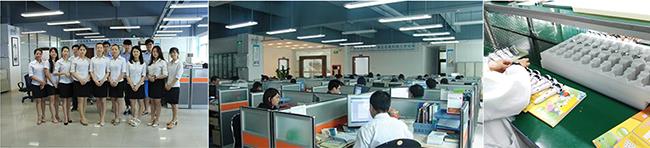 company and ISO9001 factory